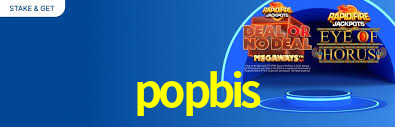 Explore as vantagens do popbis: serviço profissional e confiabilidade